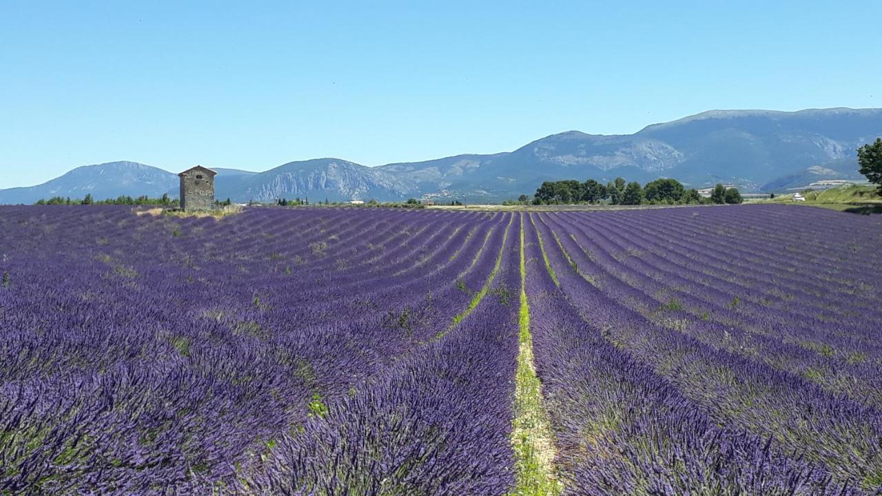 Reve Du Verdhon Régusse Dış mekan fotoğraf